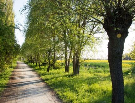 I bostadskvarteren görs plats för mindre butiker, caféer och andra enklare verksamheter med förhoppningen om att skapa levande kvarter.