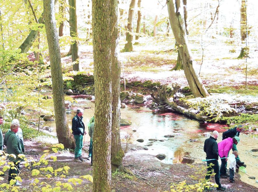 Runt omkring finns fina strövområden, däribland Arups mosse, Braheskogen och det vackra historiska naturreservatet Rövarekulan.