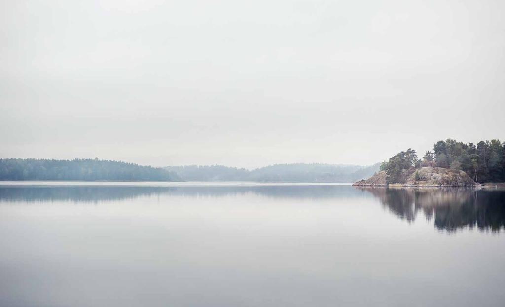 OMRÅDET S.