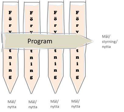 Ekonomi Det ekonomiska ansvaret för planering respektive genomförande av programmet ser olika ut beroende på den styrmodell som man valt (fullständig- eller partiell programstyrning).