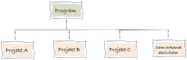 Program Ett program omfattar en grupp av projekt som är sammankopplade till varandra. Syftet med att sammanföra projekt i program är att det ska finnas övergripande mål som ska uppnås.