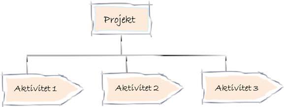 projektledare och med en projektgrupp som är bemannad med olika kompletterande kompetenser. Projektnivån är den operativa nivån inom portfölj- och programstyrning.