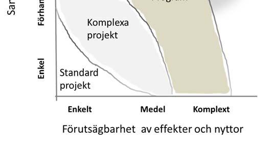 Projektet tar över ansvaret för genomförandet från linjen. Tabell 1 Olika perspektiv på portfölj, program och projekt 3. När används program som arbetsform?