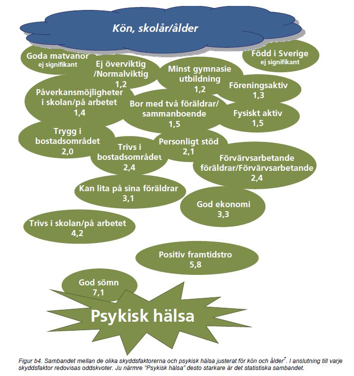 Tjänsteskrivelse 11 (26) Aktuell forskning Bilden till höger vii påvisar de skyddsfaktorer som utifrån Liv och hälsa studier har starkt samband med barns/ungas och vuxnas psykiska hälsa.