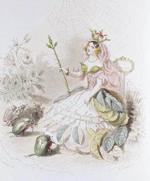 MARTINSSON De vanligaste växtförnamnen är alla flicknamn. Rosa har varit ett av de vanligare. Illustration av J. J. Grandvilles i Taxile Delords Les Fleurs Animées, tryckt 1847.