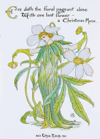 MARTINSSON Julros Helleborus niger. Illustration av Walter Crane. ur Flora s Feast, 1892. Foto: Uppsala universitetsbibliotek. såsom Sjunning, Åttfrid, Niontilda och Trettontina.