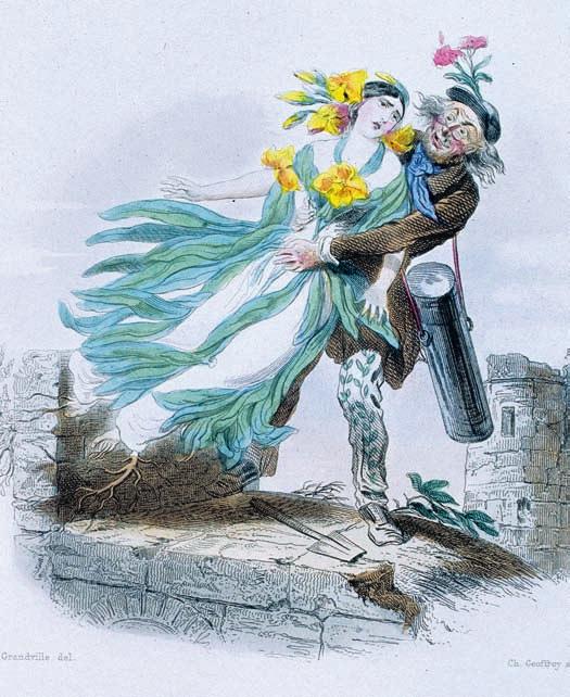 MARTINSSON Giroflée är det franska namnet på lövkoja Matthiola incana. Gyllenlack Erysimum cheiri, som bilden visar, heter Giroflée Jaune på franska. Illustra tion av J. J. Grandvilles i Taxile Delords Les Fleurs Animées, tryckt 1847.