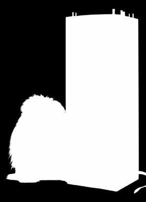 Stöd BGIF genom att: Köpa Bingolotter och Sverigelotter av våra återförsäljare! Ange BGIF som din favoritförening hos Svenska Spel! Tel: 0653-204 05 (Kansli) 070-674 39 05 (Åke) bgif@mbox.