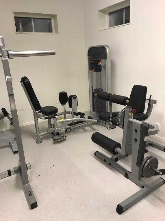 Medans vissa har löpbandet som sin favorit, gillar andra att träna med de tunga frivikterna. Maskinerna är så klart populära och enkla att använda. Många undrar vad det kostar att träna.