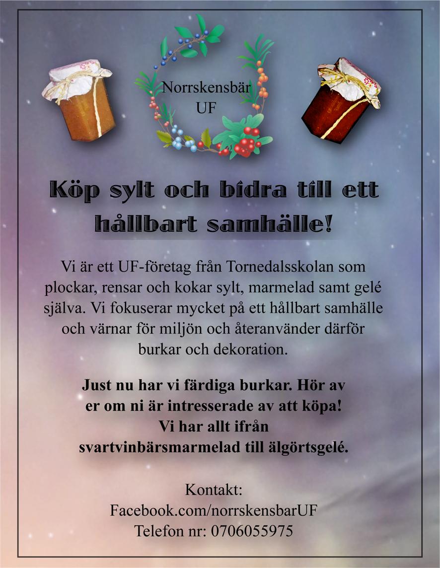 Är du intresserad att komma till Seskarö i vinter eller vår/sommar, uppleva ön och vill veta mer?