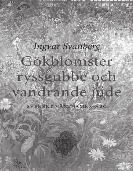 GÖKBLOMSTER av svenska växtnamn.