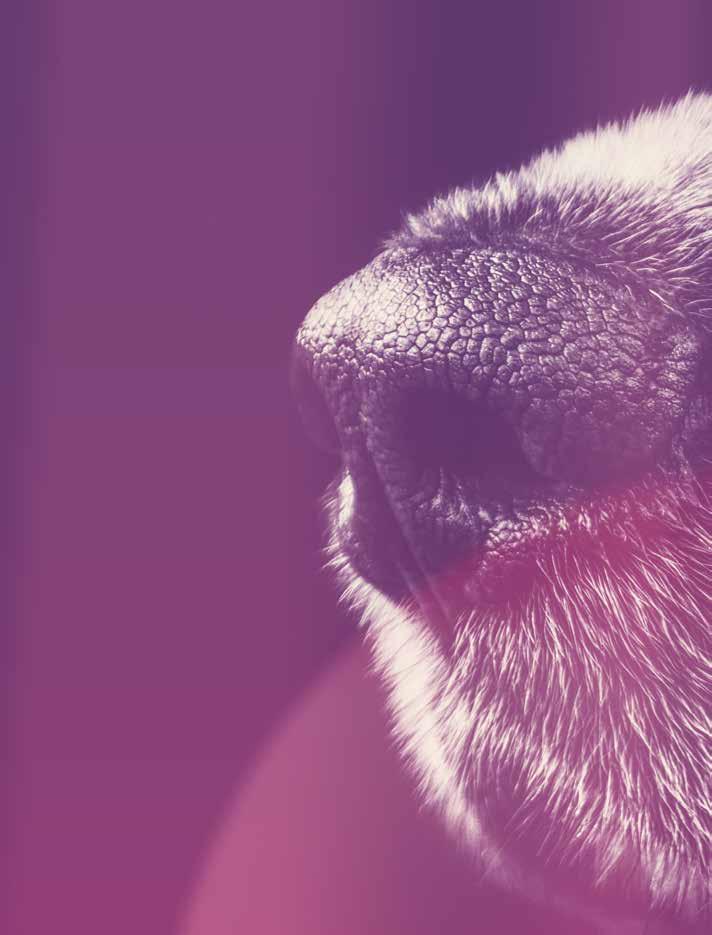 28 Panion Animal Health AB [559018-4171] Genterapi, vid neurologiska