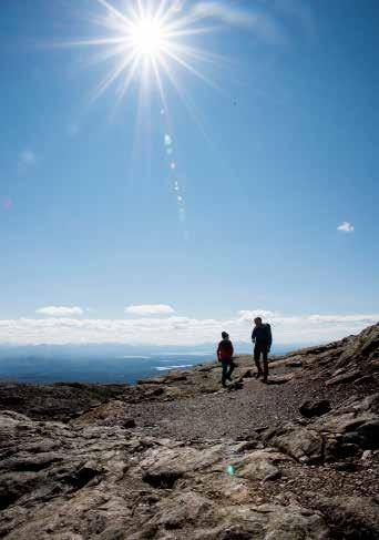 LEDARVECKAN SOMMAR PROGRAM 1 6