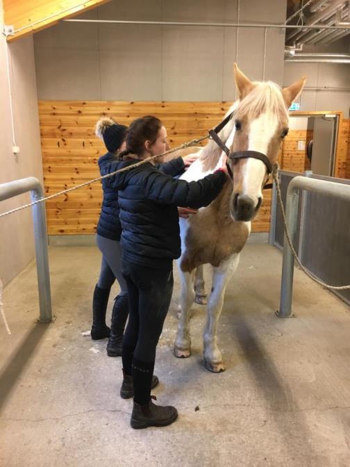 UTBILDNINGSVERKSAMHET 2017 2017 har varit ett litet mellanår på utbildningssidan då vi stod utan konsulent på kansliet från början av juni fram till oktober.
