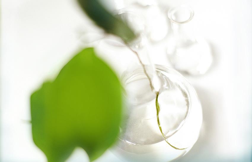 Swerea IVF AB - Olofström Eva-Lis Odenberger Ph.D.