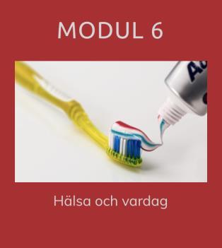 Om du redan kan lite svenska kanske du börjar med modul 2 eller 3.