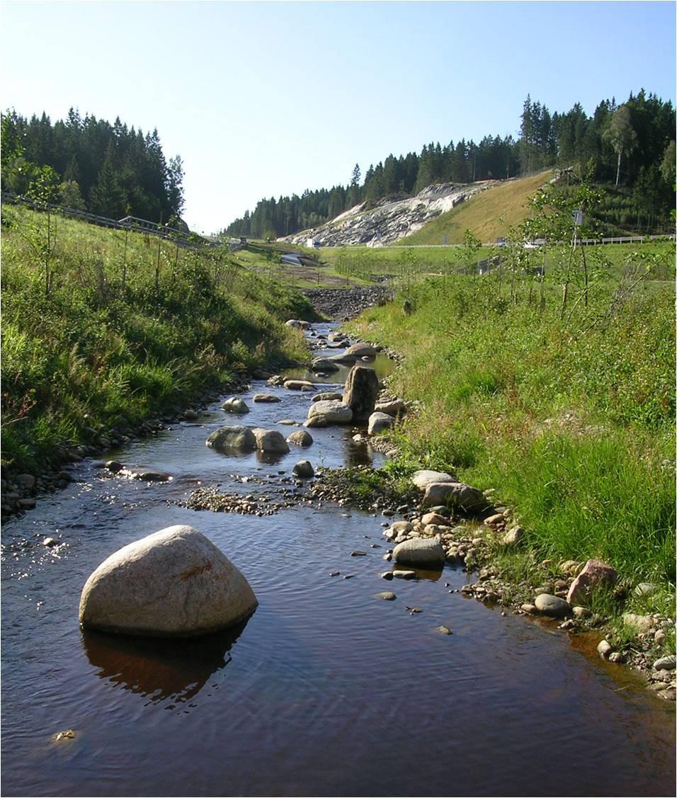 Tillse att ekologisk kompetens medverkar vid genomförande och kontroll/besiktning. Passage av vattendrag där mycket liten ekologisk hänsyn tagits. Foto: Mats Lindqvist.