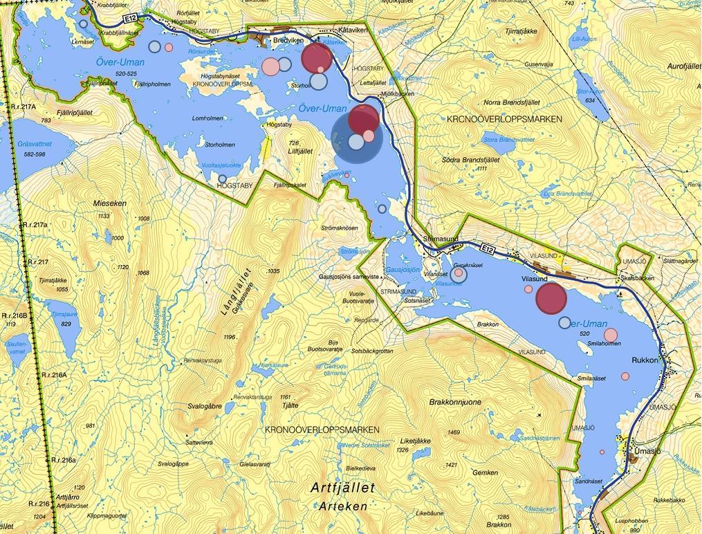 Längdförändring mm Figur 7. Karta med schematisk bild över återfångster av utsatt röding och öring i Överuman. Antalet utsatt fisk och återfångster återspeglas i storleken på cirklarna.