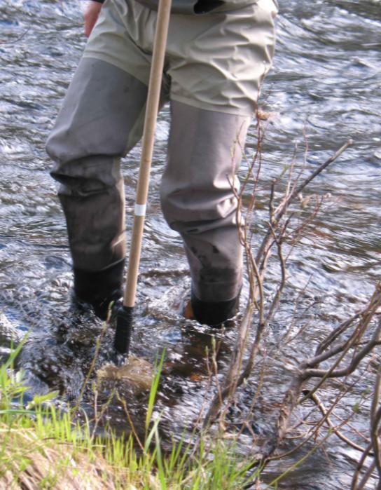 4 Bottenfauna Målsättningen är att identifiera så många som möjligt av de grupper av bottendjur som finns