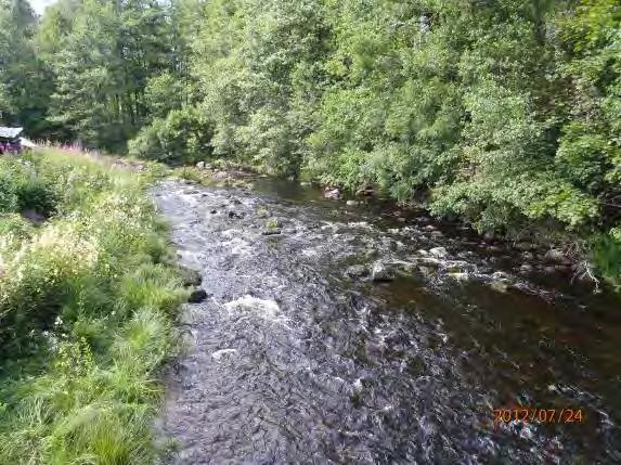 Bilden visar den elfiskade sträckan upp bron. Bilden visar ett av de öringyngel som fångades. Bilden visar Ingvar Svantesson med flodpärlmussla.