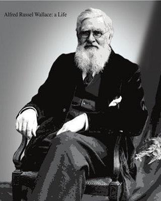 Både nydarwinister, kreationister (som tror bokstavligen på skapelseberättelsen i Bibeln) och de som tror på Intelligent Design (som hävdar att Gud själv grep in och skapade vissa komplexa organ som