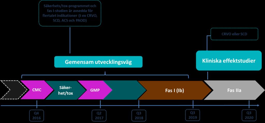 Bolaget planerar att göra sin första fas lla studie så tids- och kostnadseffektivt som möjligt med förväntad start under 2019.