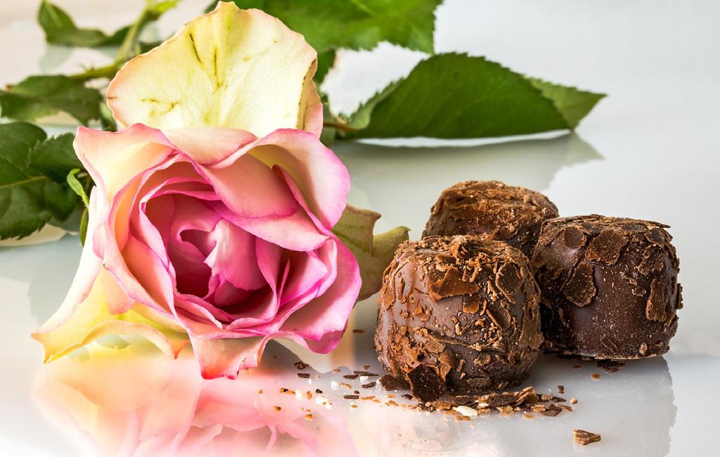MAT & DRYCK BÄSTA PRESENTEN: GE BORT EN KURS! Vegetarisk matlagning Här får du en teoretisk bas för att kunna tillaga nyttiga och balanserade vegetariska rätter.