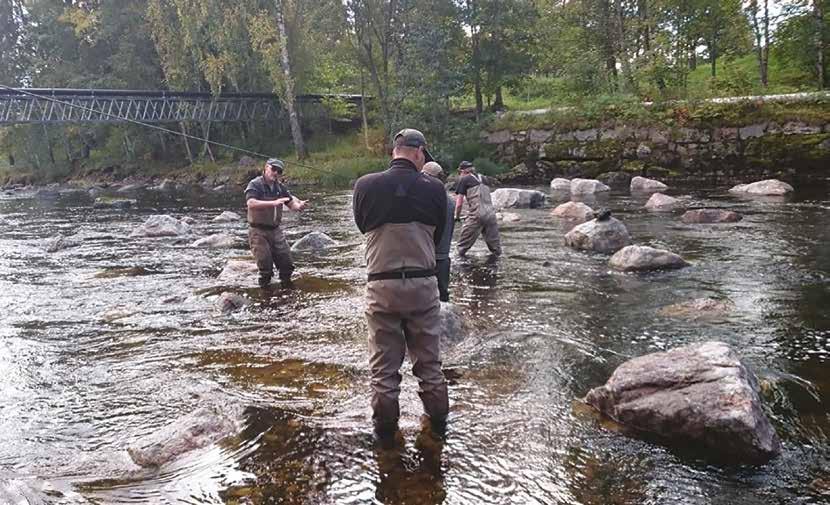 Vårt åtagande: Restaurering av Harmångersån Projektet Restaurering av Harmångersån startade 2015 på initiativ av Elkraft Sverige i samarbete med Bergsjö och Harmångers fiskeområden.