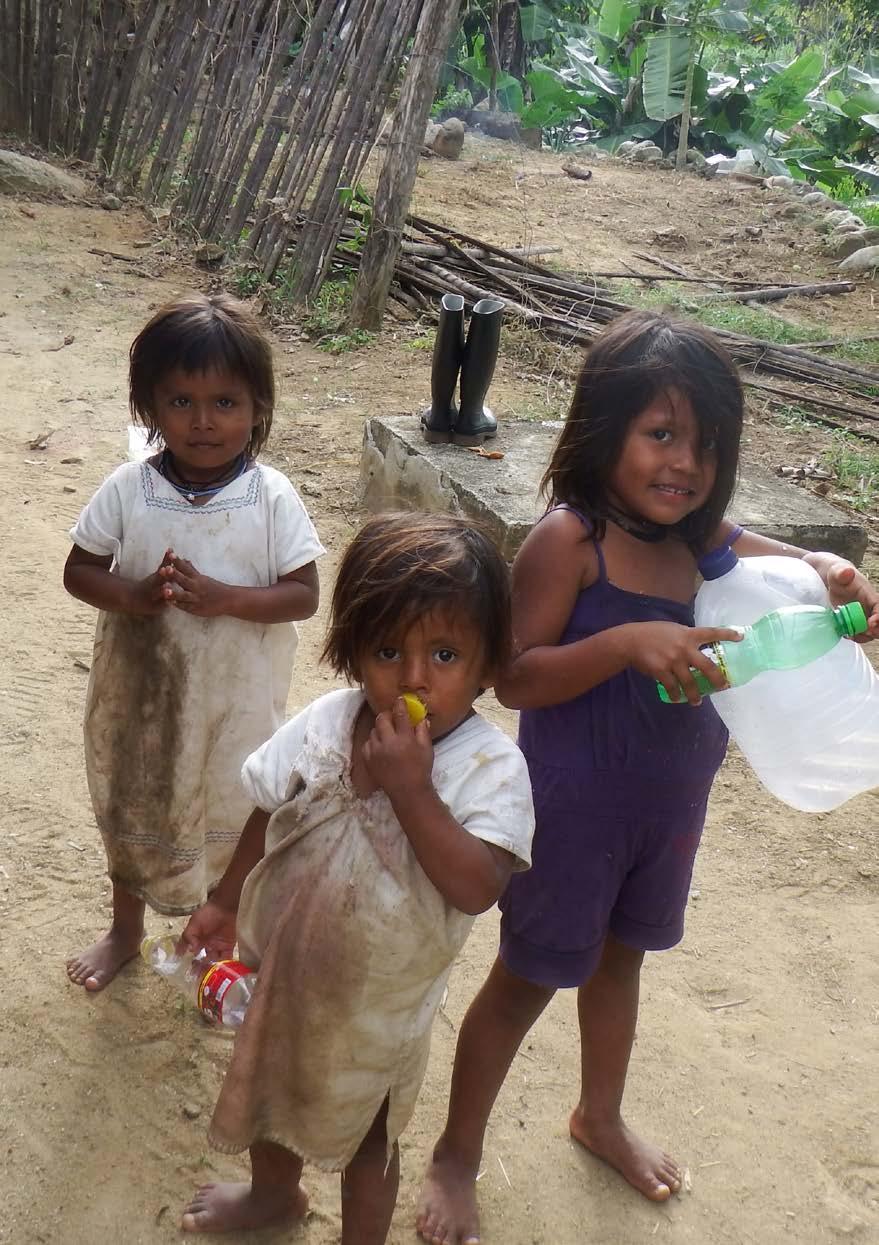 Ankarstiftelsen Volontärsresor firar 20 år Daniel Kindbom och åtta ungdomar besökte Amazonas och Medellin. De byggde en skola på berget Sierra Nevada de Santa Marta.
