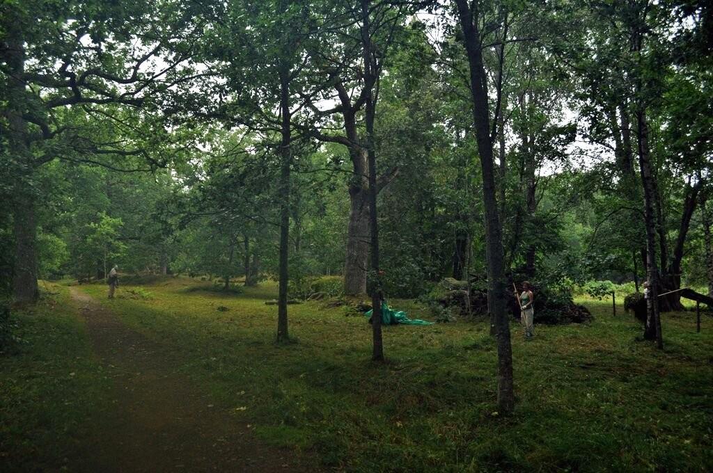 Mira Gartz gränsen för hur många betesdjur gården kunde hålla. Djuren betade på ägorna runtom, både i skogarna och på andra marker.