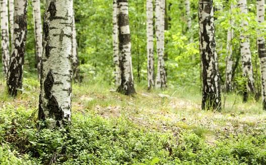 Kurser Vill du bli hälsoguide? Läs mer om vad en hälsoguide är, vad det innebär och vem som kan bli hälsoguide på vår hemsida: http://www.goteborg.se/ halsoteketvaster Läs och må bra Tisdagar kl.