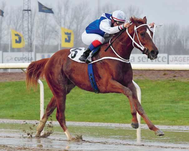 DERBYBANAN JÄGERSRO NR 19 TORSDAG 27 SEPTEMBER 2018 KL 17.