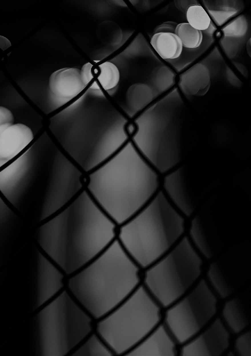 KÖP AV SEXUELL TJÄNST Förbudet mot köp av sexuell tjänst (6 kap.