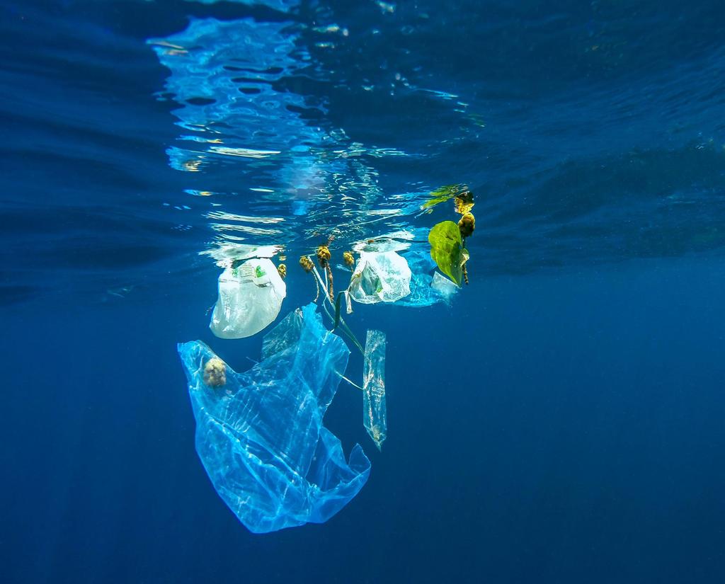 Volvo Ocean Race Utbildningsprogram Kapitel 2 Plastföroreningar i havet vad är det? Plasten dödar våra hav och vi behöver din hjälp för att lösa situationen.