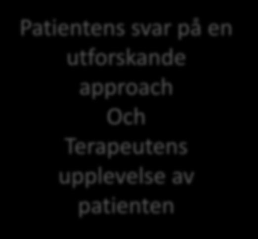 terapin Patientens