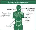 3) [Edwards et al 2006] Prematuritet (OR 8.