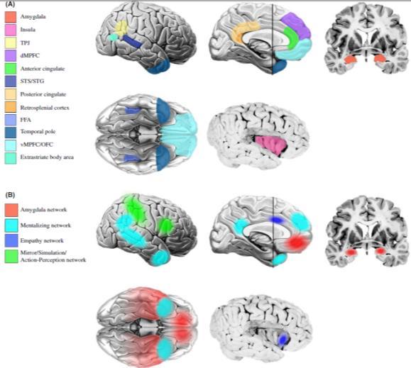 aktiveringsmönster (i EEG) Proal et al