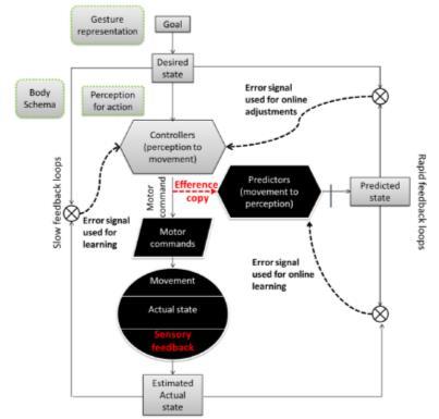 Kognition vid DCD Arbetsminne olika områden (Alloway 2007) Medvetenhet om kroppsposition (Coleman et al 2001, Piek & Cole-Carman