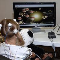 Neurofeedback Variant av biofeedback Visualisering av neurologiska funktioner i