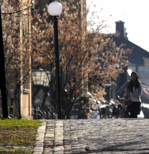 Ansöka om stöd för funktionsnedsättning Att ansöka om stöd och service enligt LSSlagen kallas också för att begära insats.