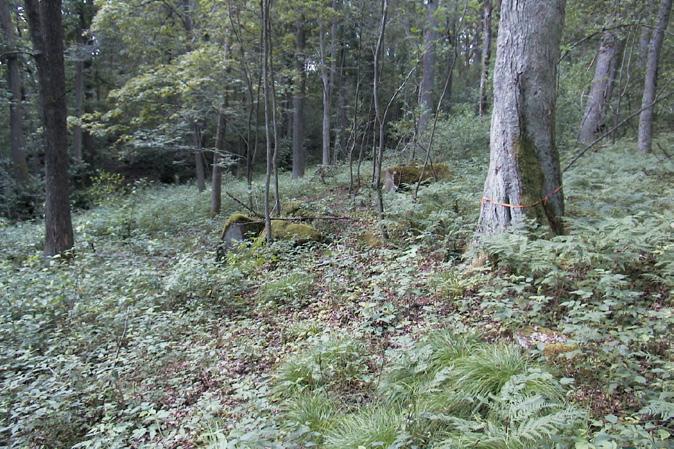 De tumregler om skötsel som ges av myndighetspersoner bör granskas närmare genom långsiktig forskning.