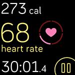 På Fitbits instrumentpanel kan du se den tid du spenderat i zonerna under en viss dag eller ett visst pass.