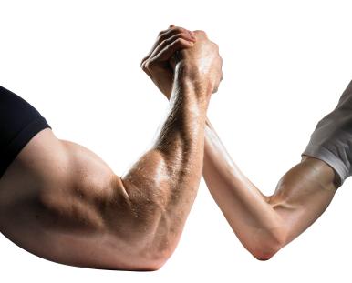 av muskeln är protein 50-75%