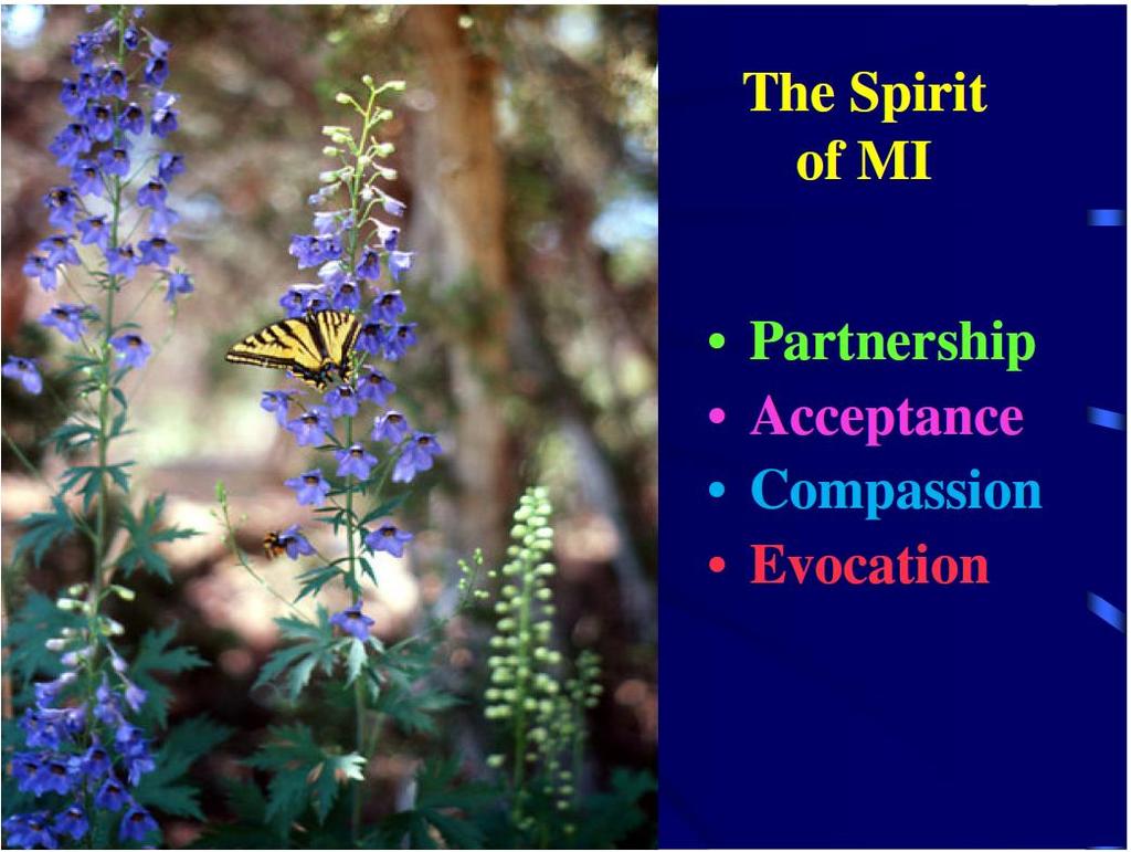 MI-anda (The Spirit of MI) Samarbete (partnership) Acceptans
