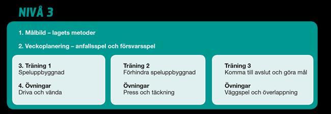 Svenska Fotbollförbundets Spelarutbildningsplan Träning och match Träningen bör i så stor utsträckning som möjligt utgå från spelets karaktär samt att både träning och match präglas av temat man för