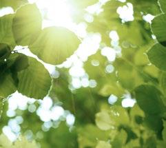 genom omblandande ventilationsteknik. Blandningseffekten jämnar ut temperaturen i rummet så att temperaturskillnaden mellan luften i huvudhöjd och vid golvet hålls låg.