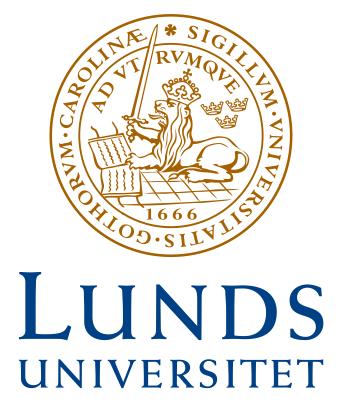 Höstterminen 2007 Språk- och litteraturcentrum KINK01 Kinesiska, kandidatkurs Kandidatuppsats 知识产权 Implementering