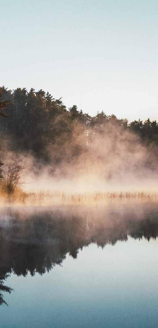 synen på vattenfall Använda fossilfri vätgas för att tillverka biobränslen Vattenfall och Preem undersöker tillsammans möjligheterna att använda fossil fri vätgas vid framställningen av förnybara