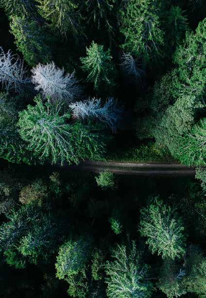 34 Producera din egen klimatsmarta el och värme 26 Åtgärder för minskad klimatpåverkan i hela värdekedjan 44 Digitalisering för smart drift och underhåll Innehåll I korthet 2 Detta är Vattenfall 5