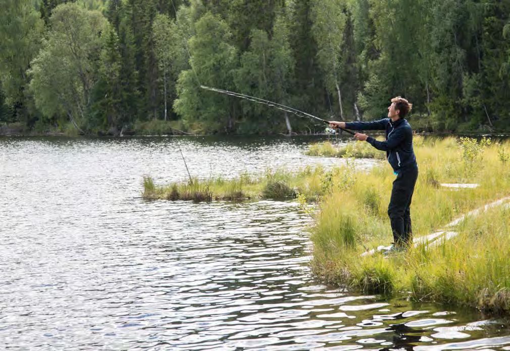 Introduktion Verksamheten Förvaltningsberättelse Finansiella rapporter Hållbarhetsnoter Övrigt SCA i samhället För att vara relevanta, idag och i framtiden, måste SCA utvecklas i samklang med det